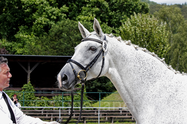 Kaiserin ©Lune Jancke