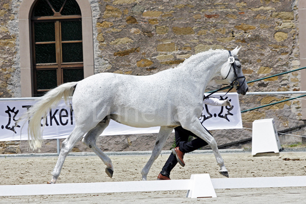 Kaiserin ©Lune Jancke