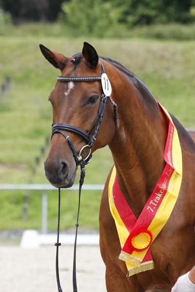 Kambra ©Lune Jancke