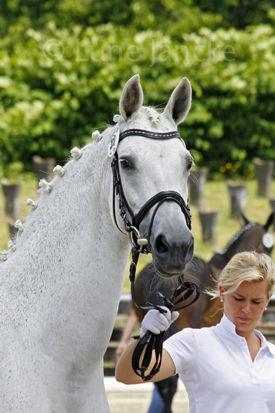 Karlotta © Lune Jancke