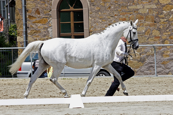 Karlotta © Lune Jancke