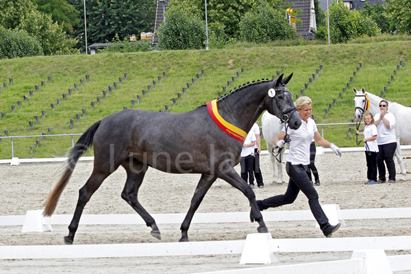 Kasandra HS ©Lune Jancke