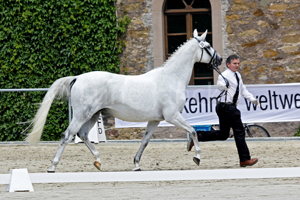 Kaluna © Lune Jancke