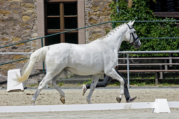 Schampagne © Lune Jancke