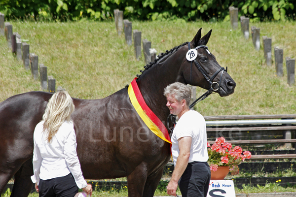 Shanara © Lune Jancke