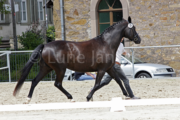 Shanara © Lune Jancke