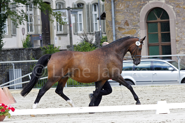 Sky Lady © Lune Jancke