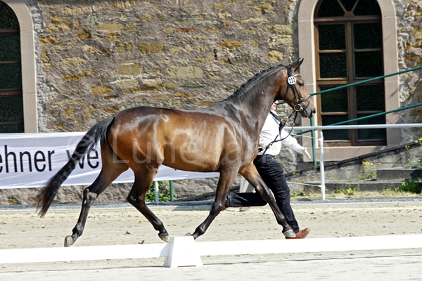 Valetta HS © Lune Jancke