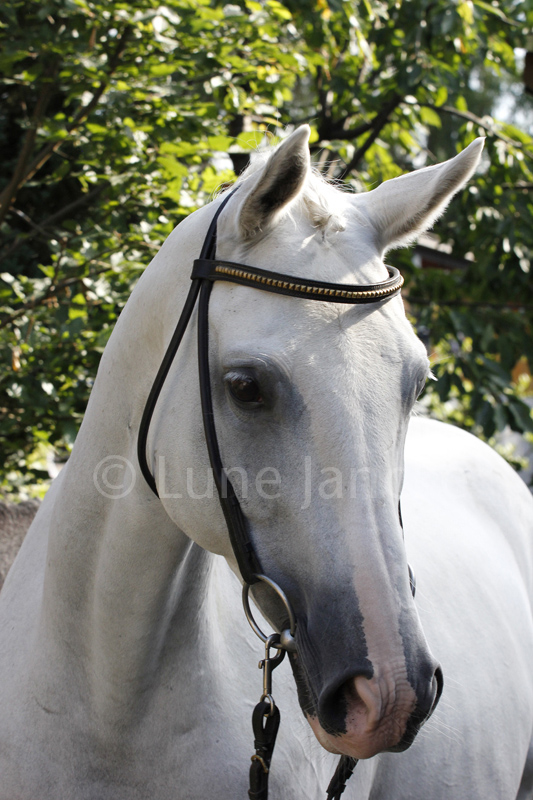 abienne Foto © Lune Jancke