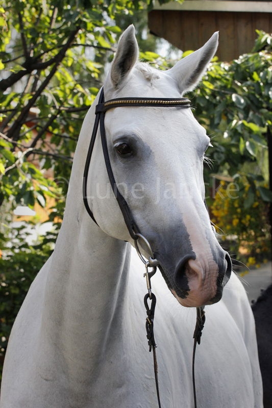 Fabienne Foto © Lune Jancke