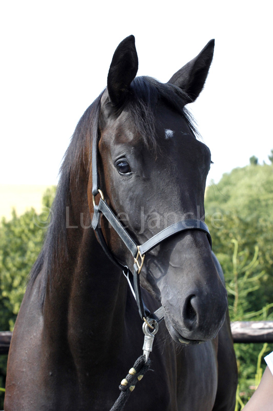 Ibiza Foto © Lune Jancke