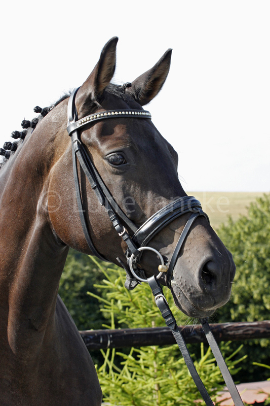 Malou Foto © Lune Jancke