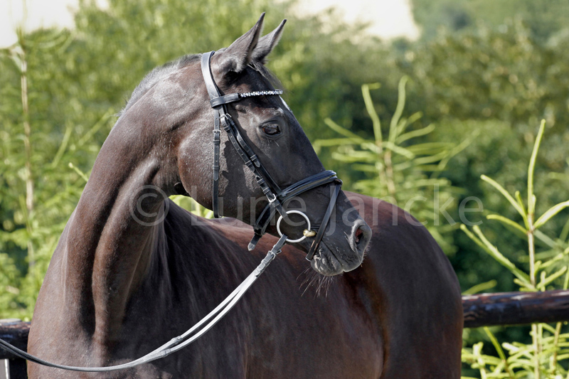 Maritza Foto © Lune Jancke