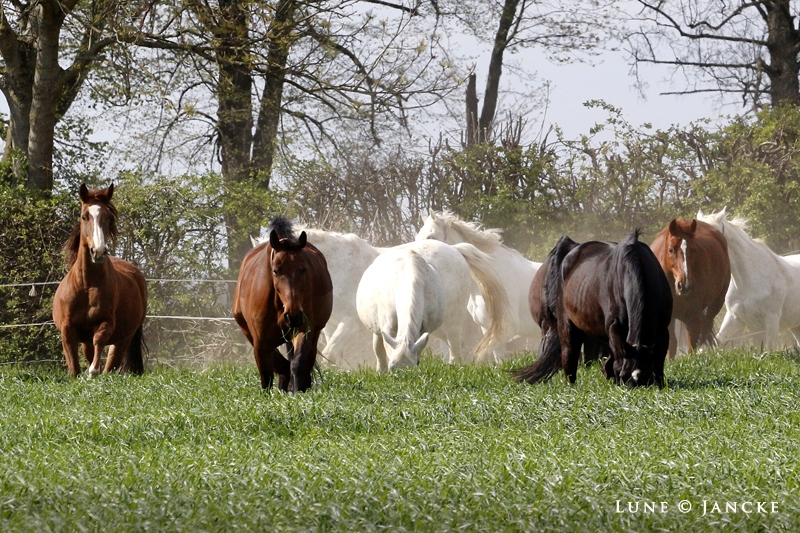 Foto © Lune Jancke