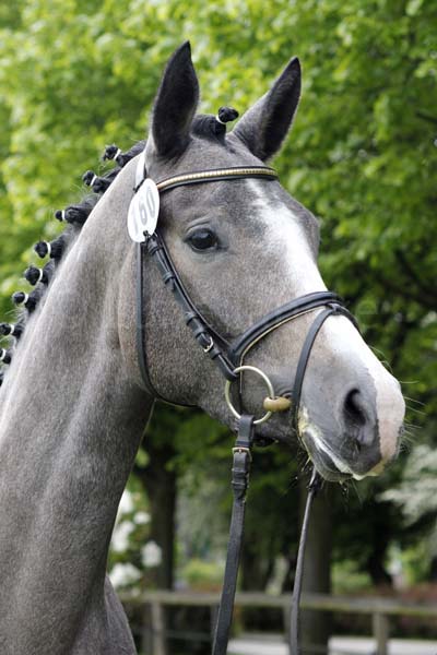 2. Reserve Felizitas v. Impetus - Trocadero Foto: Lune Jancke