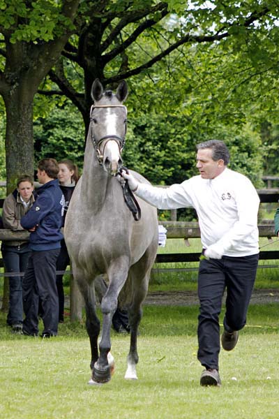 2. Reserve Felizitas v. Impetus - Trocadero Foto: Lune Jancke