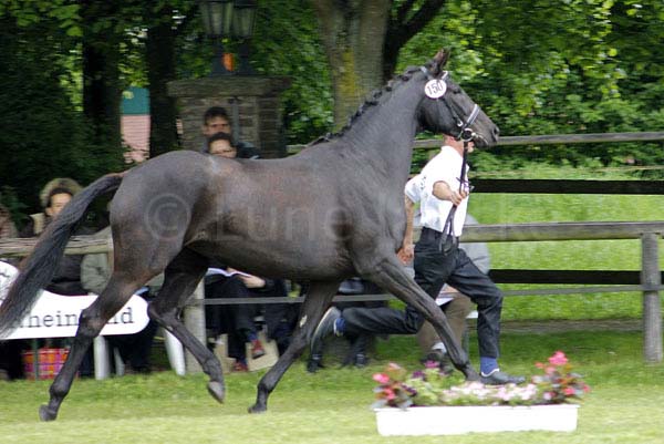 Samba Noir v. Sixtus - Zinaad xx Foto: Lune Jancke