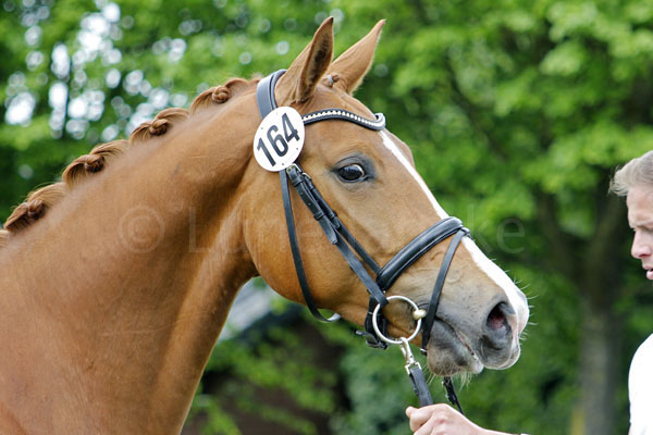 Coccinelle v. Kasimir - Tanzmeister Foto: Lune Jancke