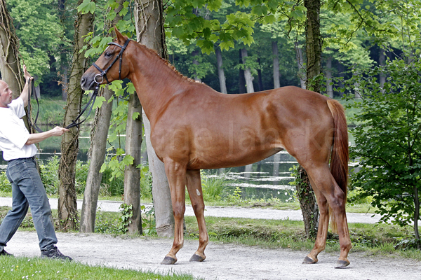 Sonia Foto: Lune Jancke