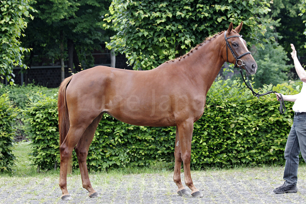 Sonia Foto: Lune Jancke