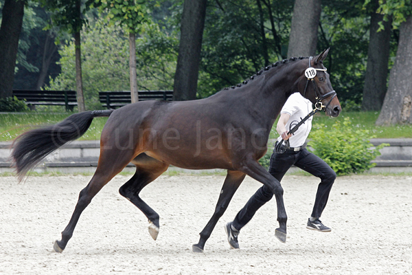 Tabasimbi Foto: Lune Jancke