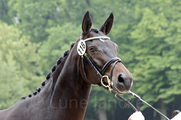 Tabasimbi Foto: Lune Jancke