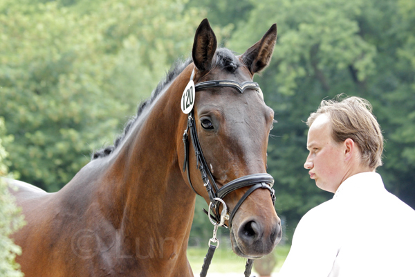 Indyra Foto: Lune Jancke