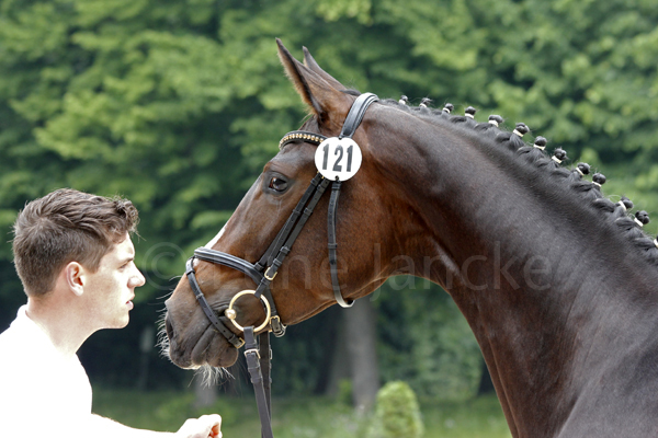 Gräfin Gomera Foto: Lune Jancke