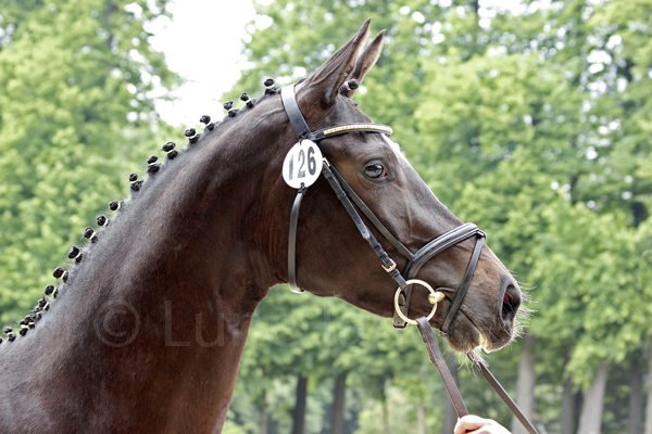 Linstersage Foto: Lune Jancke