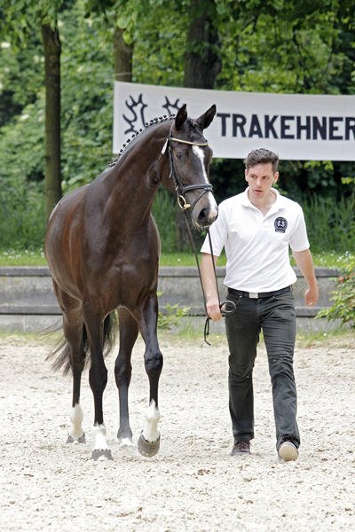 Linstersage Foto: Lune Jancke