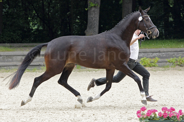 Linstersage Foto: Lune Jancke