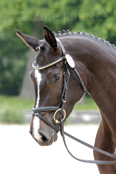 Linstersage Foto: Lune Jancke