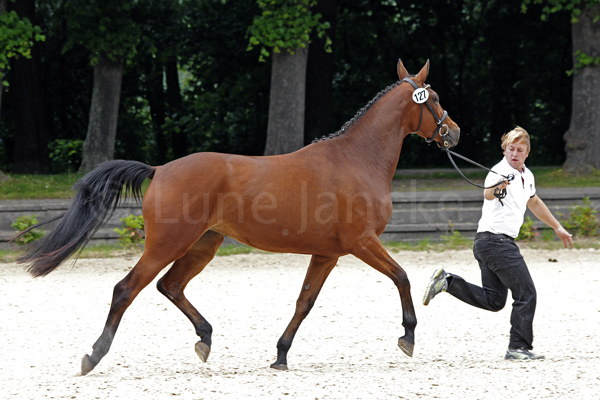 Sacre Courage Foto: Lune Jancke