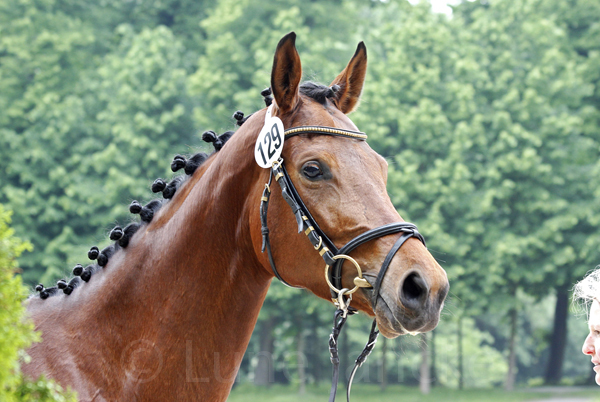 Tarastani Foto: Lune Jancke