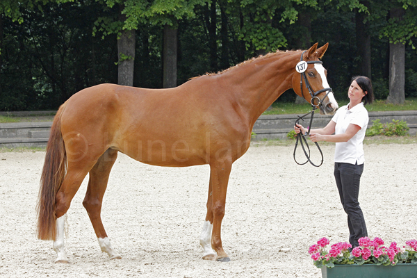 Herzenswunsch Foto: Lune Jancke