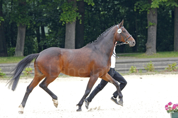 Königsliebe Foto: Lune Jancke