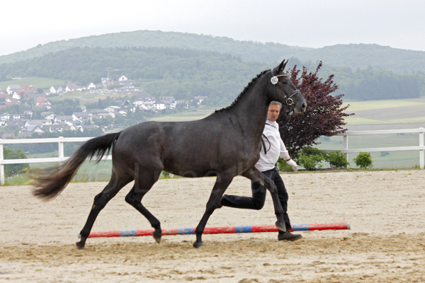 Kasandra HS Foto: Lune Jancke