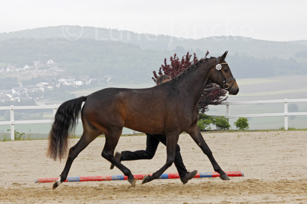 Vita Foto: Lune Jancke