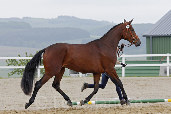 Pia Donna Foto: Lune Jancke