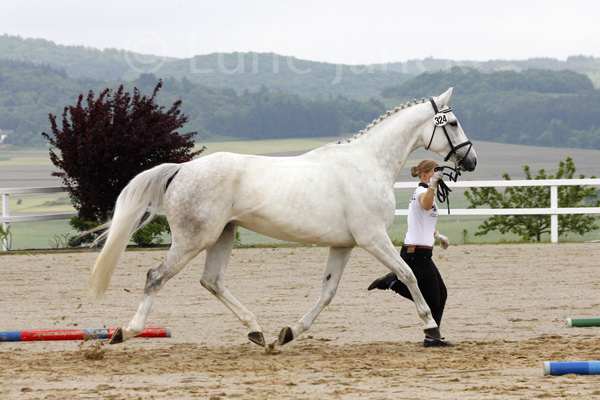 Karena Foto: Lune Jancke