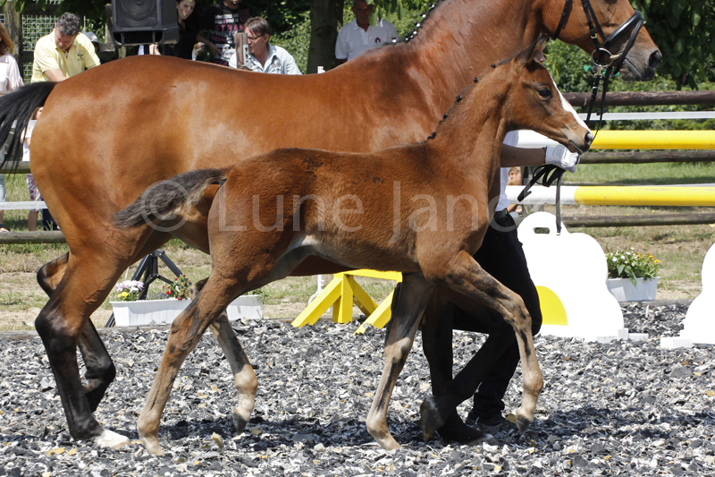 SF v. Imhotep Foto © Lune Jancke