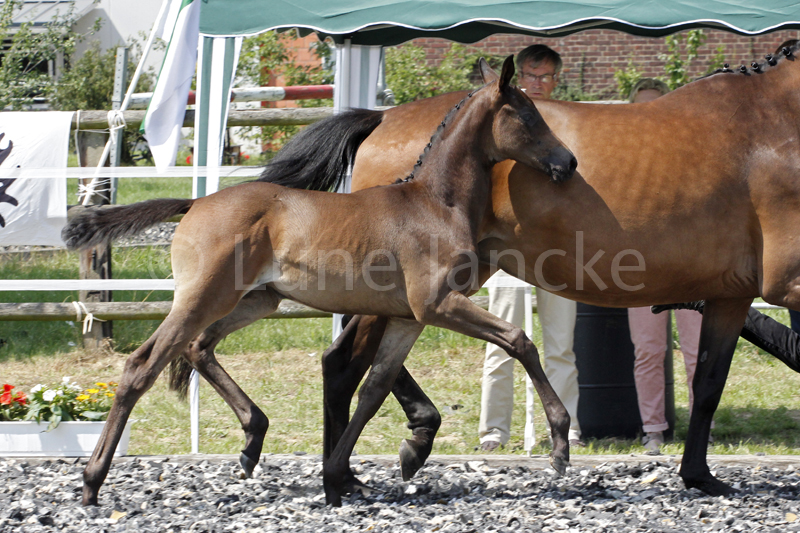 SF v. Millennium Foto © Lune Jancke