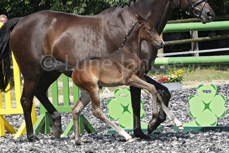 SF v. San Silviano Foto © Lune Jancke