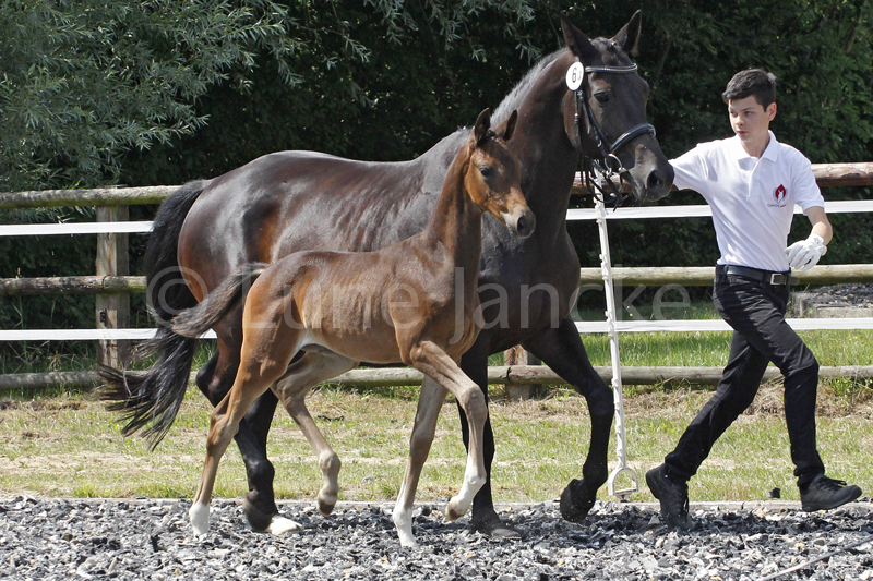 Sf v. Saint Cyr Foto © Lune Jancke