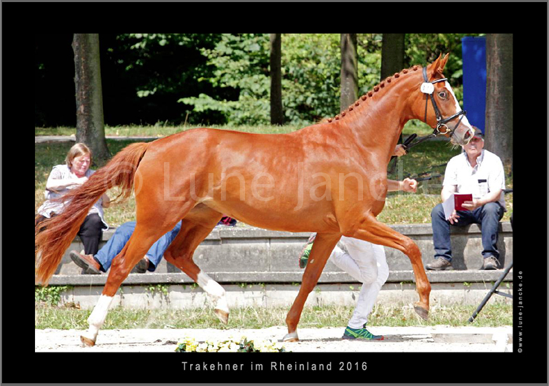 Limette Foto © Lune Jancke