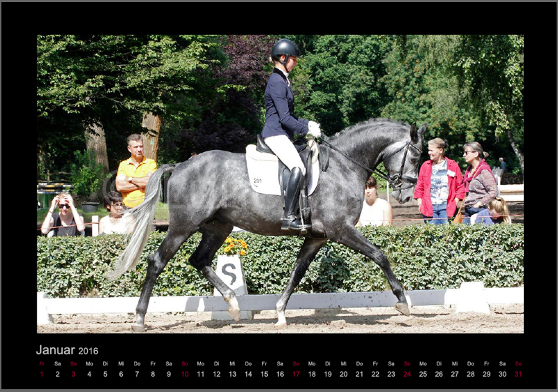 Hopkins Foto © Lune Jancke