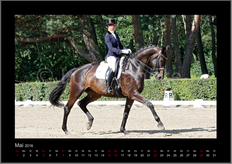 Happy Highness Foto © Lune Jancke