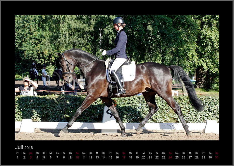 Killarney Foto © Lune Jancke