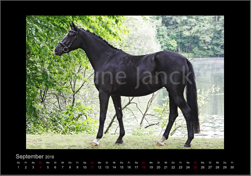 Ambiente Foto © Lune Jancke