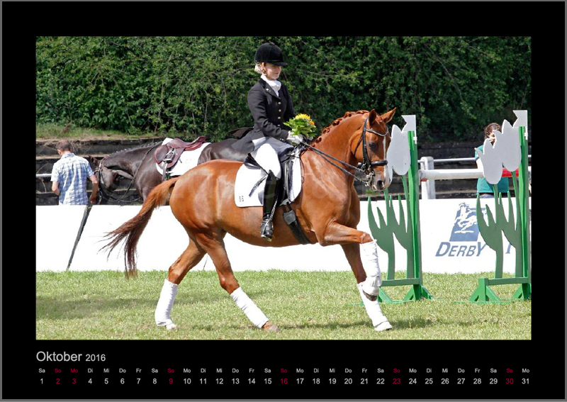 Coccinelle Foto © Lune Jancke